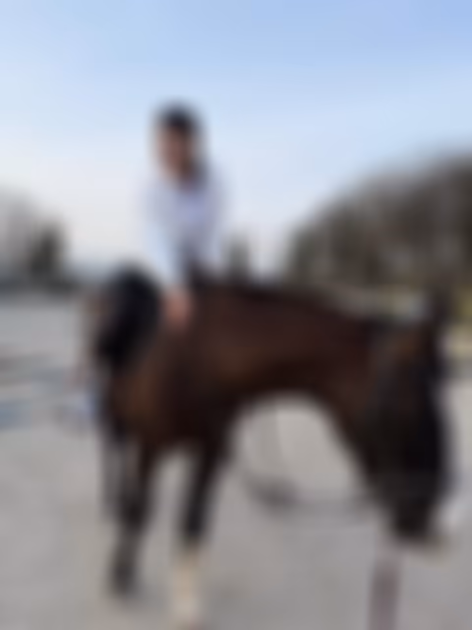 Go to Profile for marriage