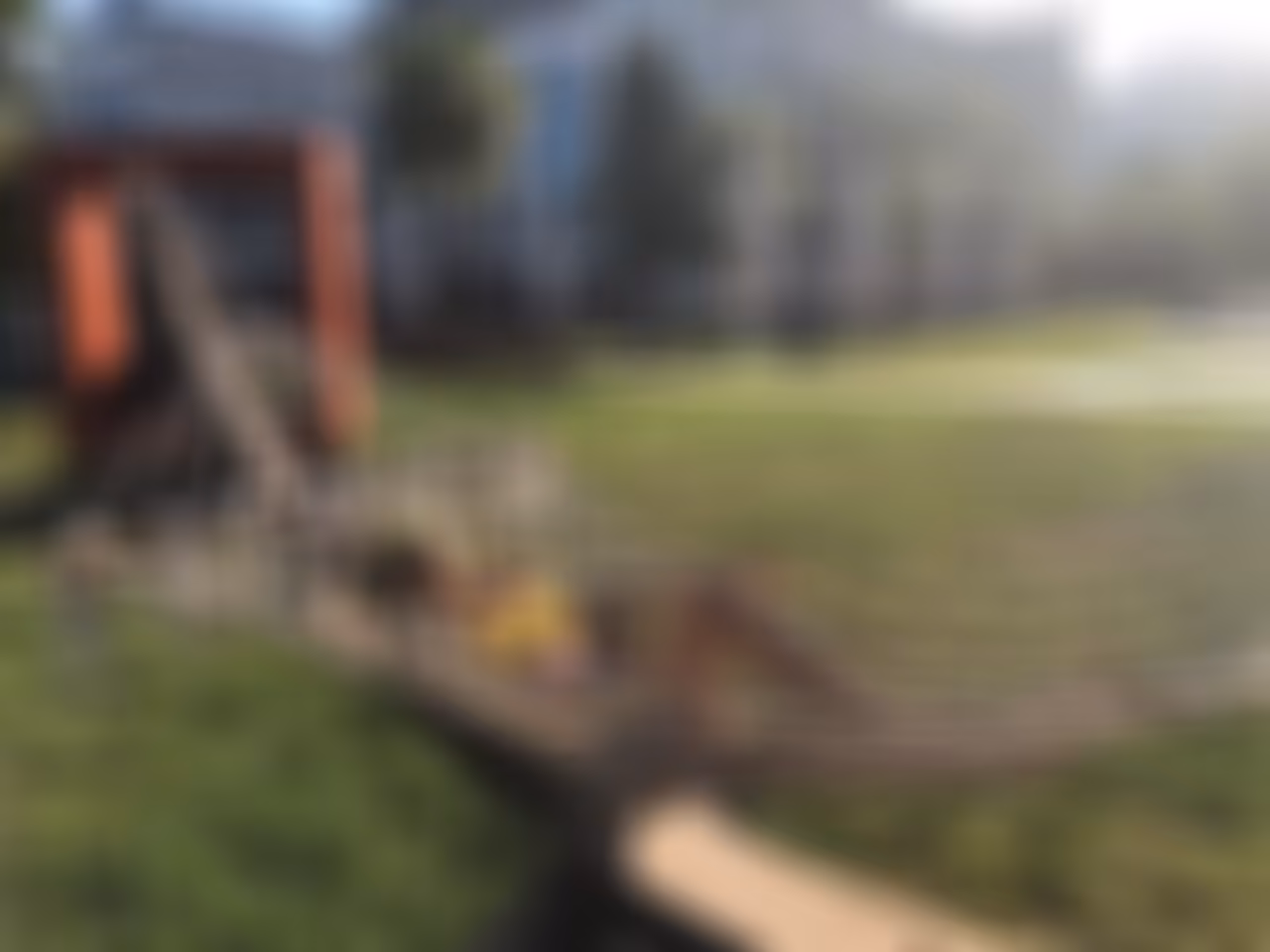 Alexa ukrainian women wanting to come to america